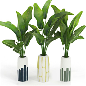 Banana_Palm_Striped_Tall_Vase